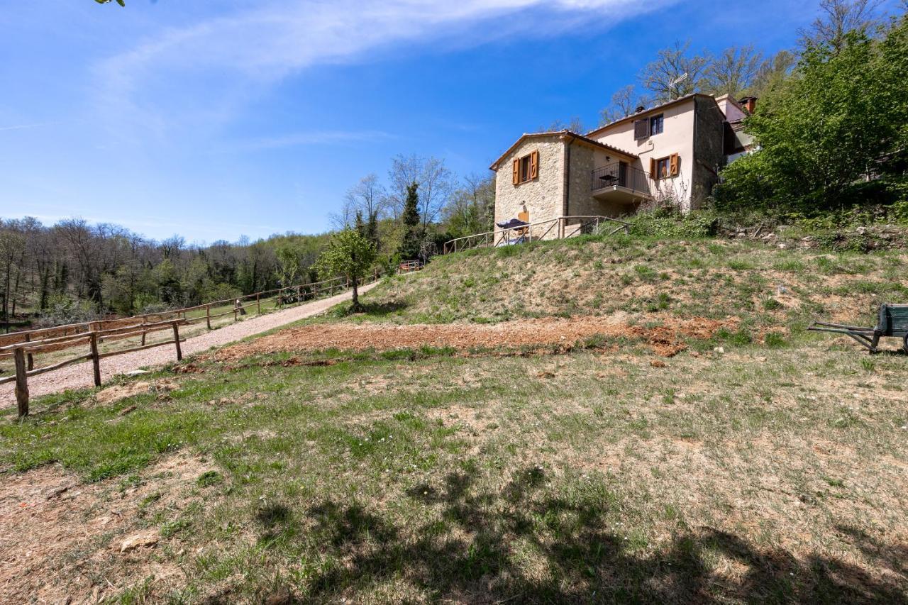 Podere Del Ciacchi Among Tuscany Greenery - Happy Rentals Montieri Exterior photo