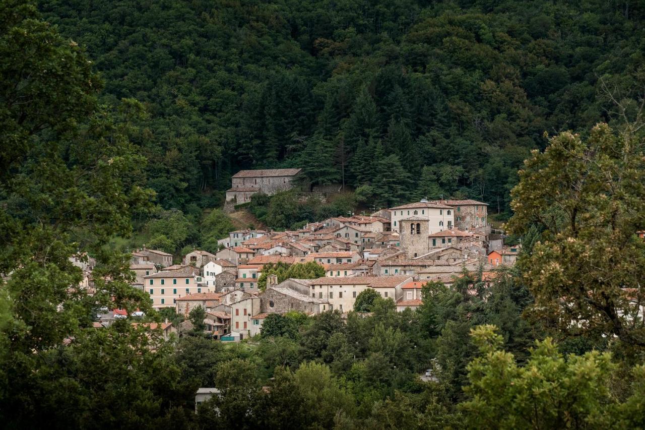 Podere Del Ciacchi Among Tuscany Greenery - Happy Rentals Montieri Exterior photo